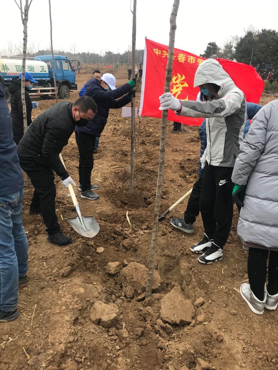 GA黄金甲·(中国集团)官方网站